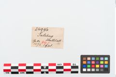Etiketten zu Bronzefibel (NHMW-PRAE-024996)